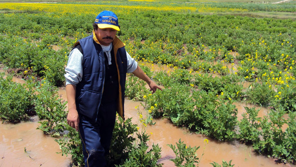 Minagri: El Niño costero deja entre 6,000 y 7,000 agricultores afectados