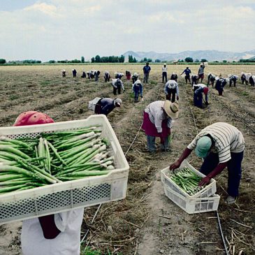 Sector agropecuario inició 2018 con crecimiento de casi 4% en enero