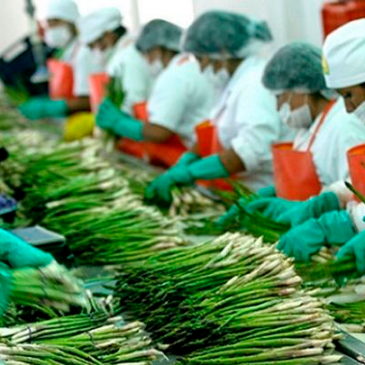 Perú, el tercer país con mayor crecimiento en exportaciones